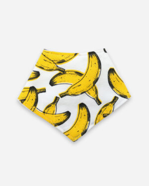 bananas bandana bib