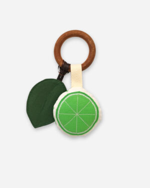 lime teether and sensory toy