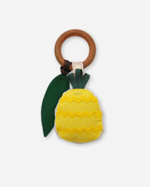 pineapple teether and sensory toy